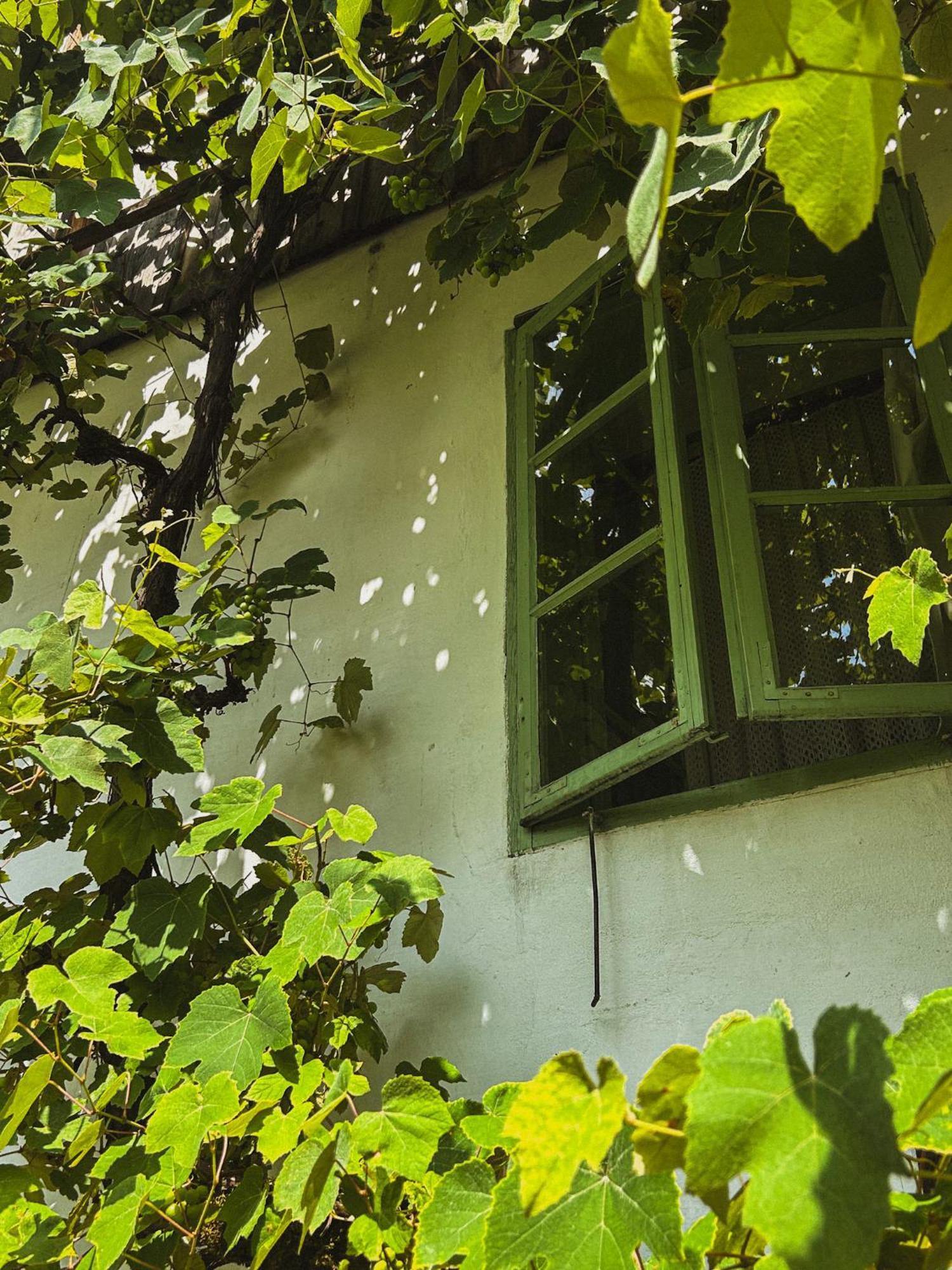 Hostal Vintage House Podliparska Fara Exterior foto